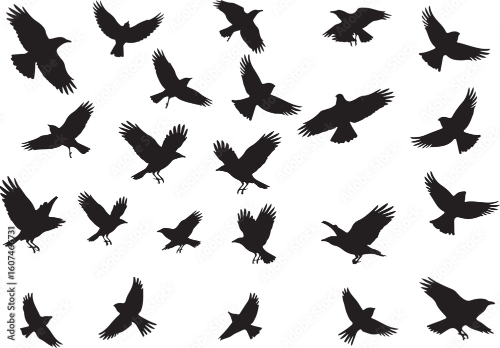 Fototapeta premium A Silhouette Symphony Avian Flight Patterns Displaying Dynamic Wing Positions in Graphic Arrangement Black and White Visual Harmony