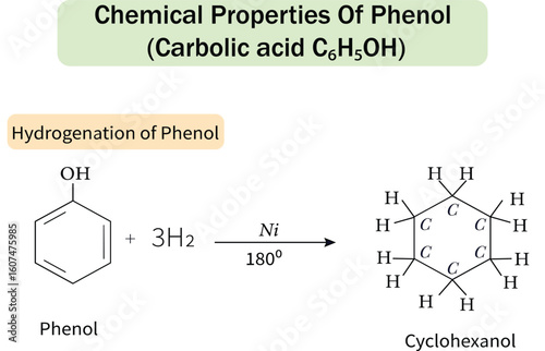 Chemical Properties of Phenol, Hydrogenation of phenol into Cyclohexanol with Nickel Catalyst. Chemistry Diagram