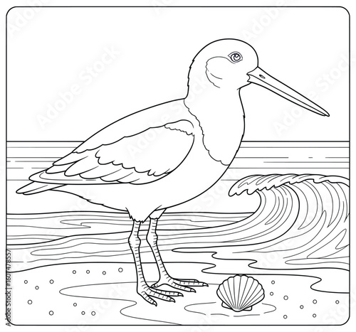 Shorebird with long beak standing on beach near sea waves and seashell – elegant line art for coastal bird coloring page