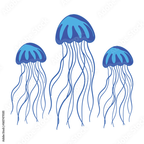 A beautiful blue color jellyfish photo