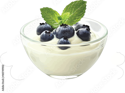 Creamy yogurt blueberries mint garnish bowl