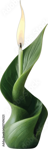 Green leaf candle flame light