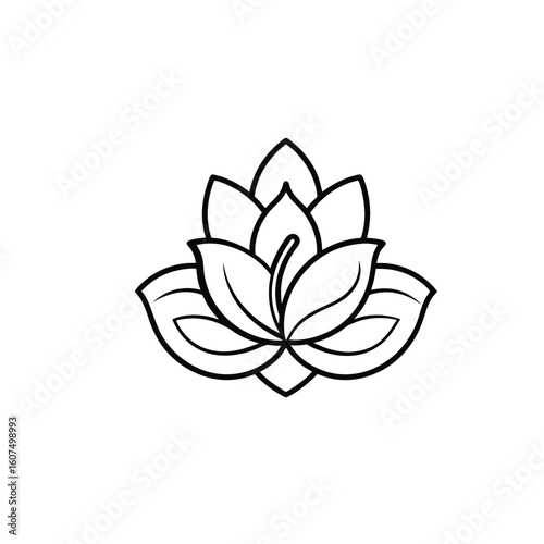 Magnolia flower outline icon on white background