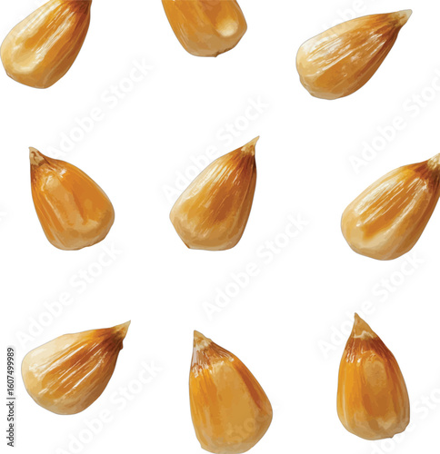 Raw yellow corn kernels close up food