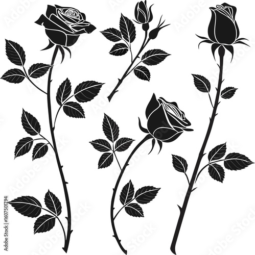 four elegant rose flower with long stem and leaf branch art