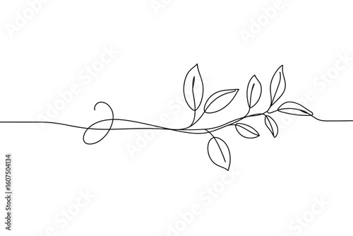 Elegant single line drawing of a delicate plant with leaves and a swirl