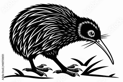 charming kiwi bird sihouette black vector