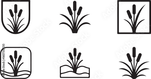 Black Cattail Plant Icons Set in Various Frames on White Background