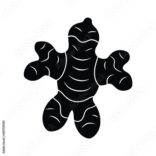 vector illustration of a ginger