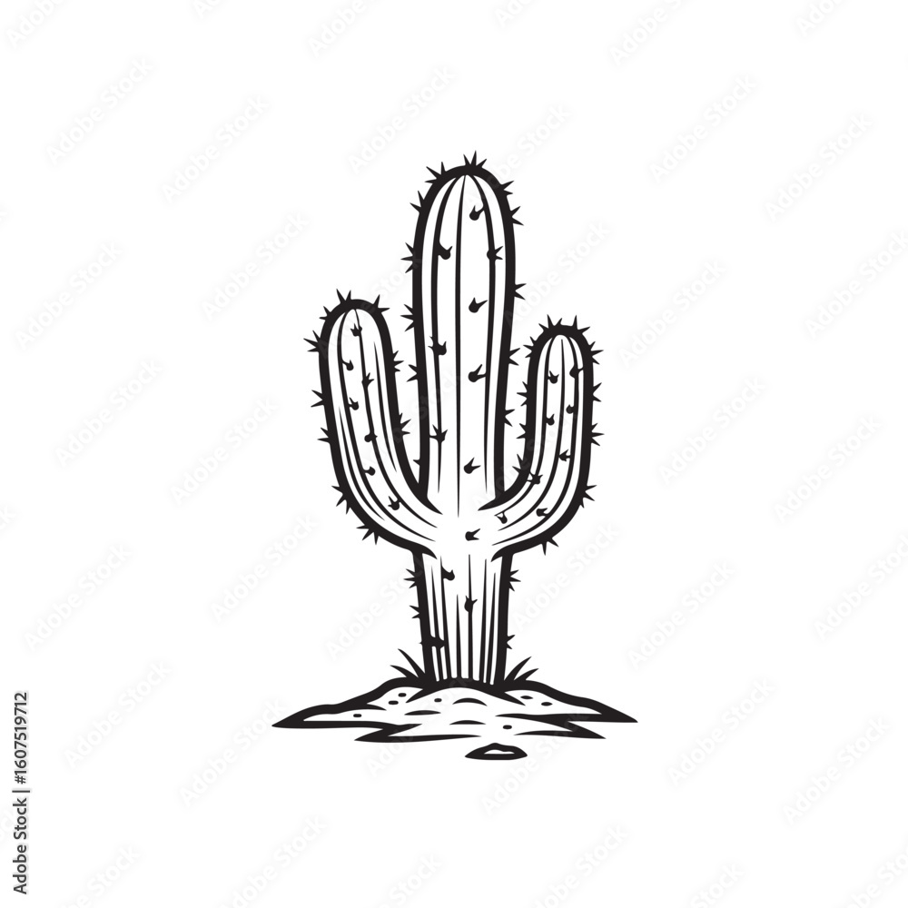 Fototapeta premium A serene portrait of a solitary cactus bathed in warm desert light, symbolizing endurance, solitude, and the quiet elegance of nature’s resilience./