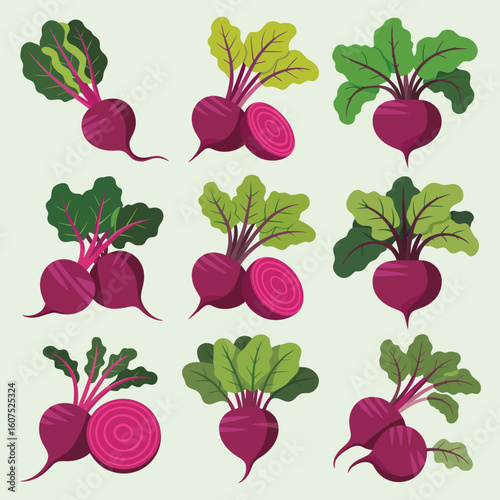 Collection of fresh beets with green leaves
