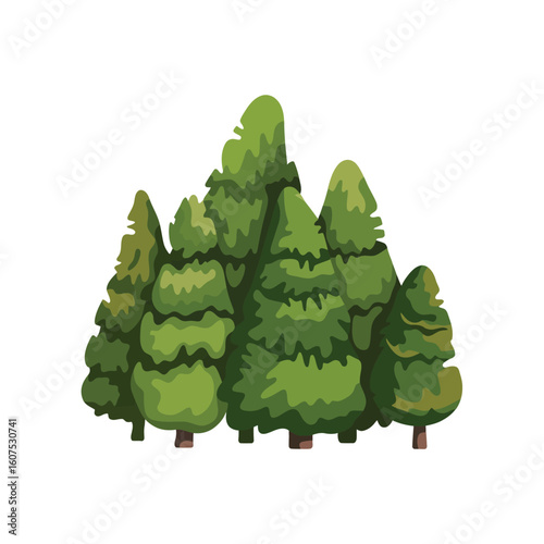 A cluster of lush green evergreen trees in a forest