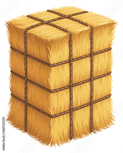 Square hay bale tied with twine