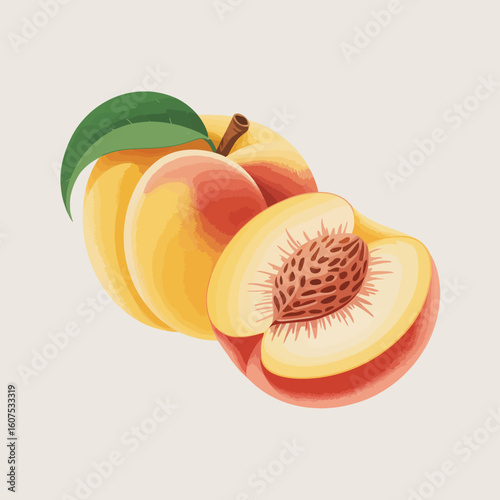Fresh ripe peaches one whole and one halved with pit