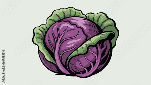Vibrant red cabbage illustration with green leaves