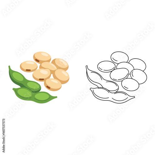 Illustration of fresh soybeans in pods next to shelled soybeans
