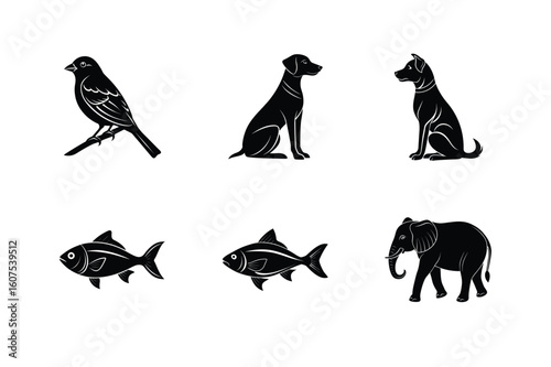 Bird Dogs Fish