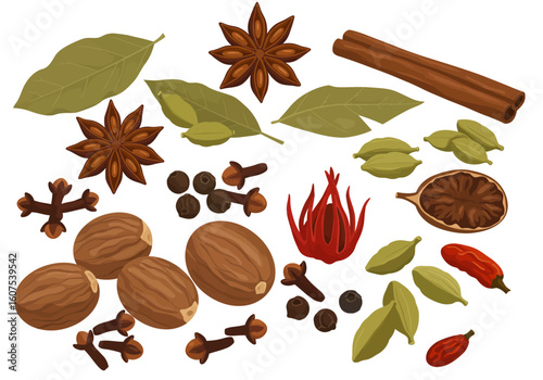 Spices illustration cinnamon star anise cloves nutmeg pepper cardamom bay leaves chili