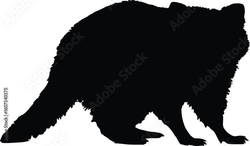 Raccoon Silhouette Illustration - Wild Animal Profile Isolated on White - Nature Wildlife Graphic