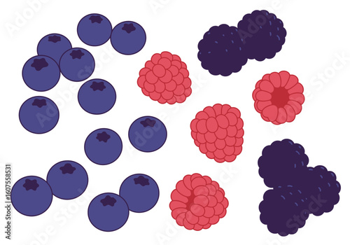 Berries on white background blueberries raspberries and blackberries in clusters