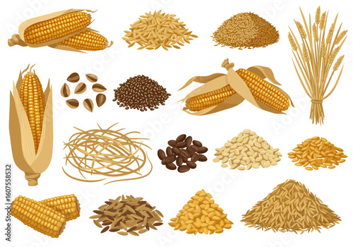 Assortment of crops corn wheat seeds and grains in various forms
