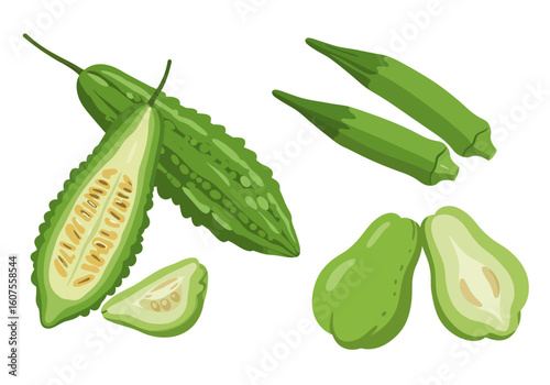 Bitter melon okra  chayote squash illustration some sliced revealing seeds