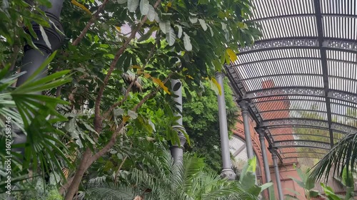 Ornate metal garden canopy surrounded by tropical plants

