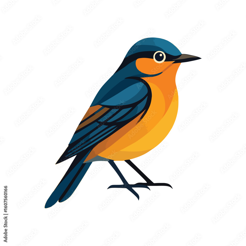 Fototapeta premium Bird Illustration