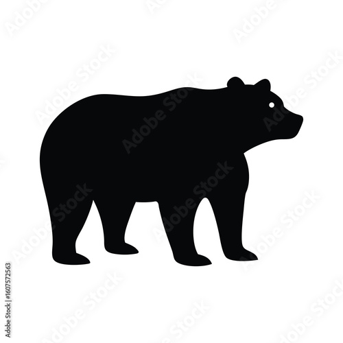 silhouette of bear
