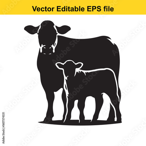 Dairy cow and calf, cow and calf, milk cow, angus cow