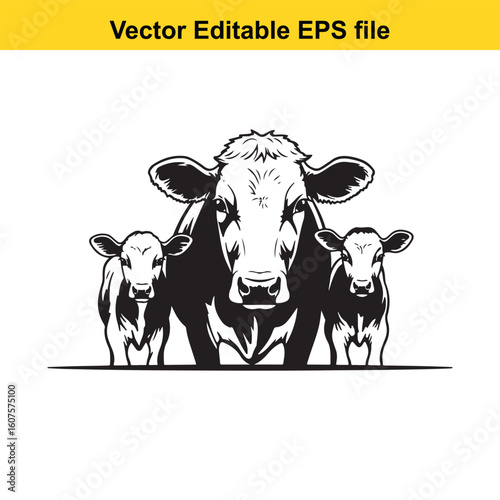 Cow and two calves in a black and white portrait