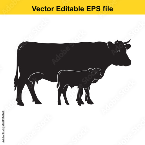 Dairy cow and calf, cow and calf, milk cow, angus cow