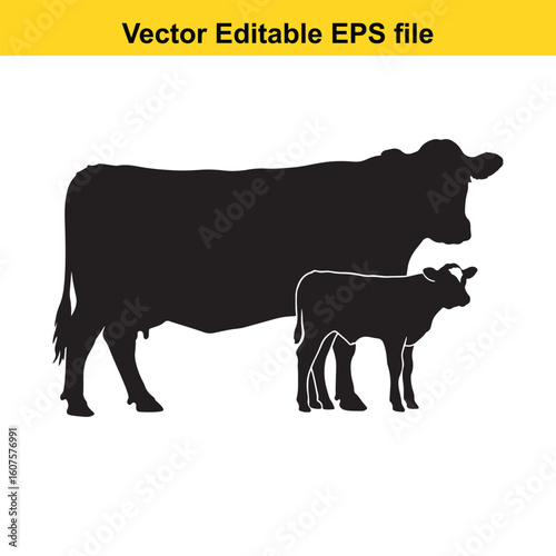 Dairy cow and calf, cow and calf, milk cow, angus cow