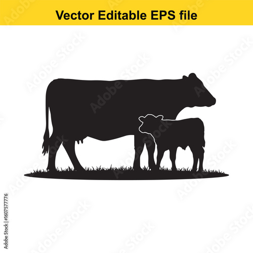 Dairy cow and calf, cow and calf, milk cow, angus cow