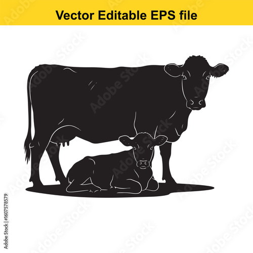 Dairy cow and calf, cow and calf, milk cow, angus cow