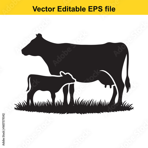 Dairy cow and calf, cow and calf, milk cow, angus cow