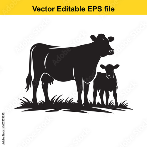 Dairy cow and calf, cow and calf, milk cow, angus cow