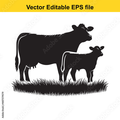 Dairy cow and calf, cow and calf, milk cow, angus cow