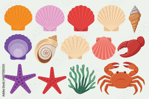 Collection of colorful seashells starfish coral crab and conch shell