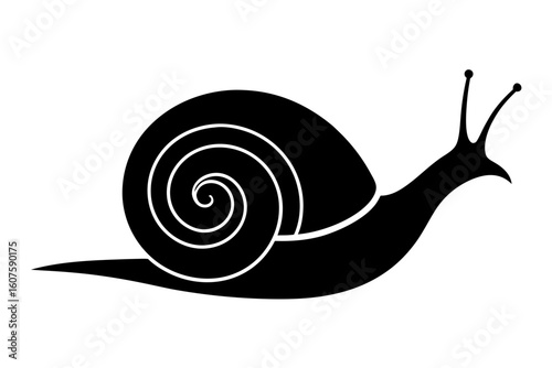 Elegant snail animal garden wildlife crawling mollusk silhouette vector illustration