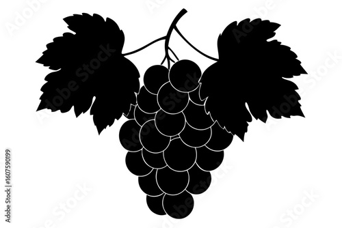 Grape bunch foliage plant fruit food vine berry silhouette vector illustration
