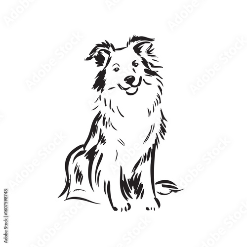 A shaggy dog sits smiling on a white background.