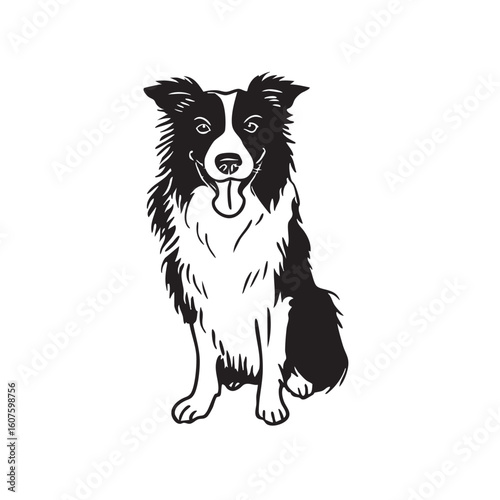 A black and white dog sits panting on a white background.