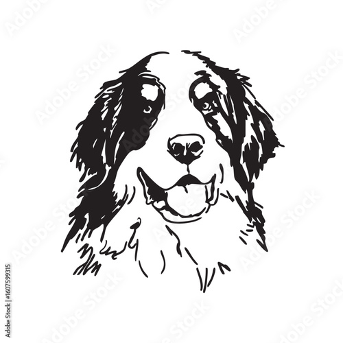A line drawing of a happy Bernese Mountain Dog's head.