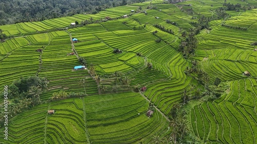 Jatiluwih Rice Terraces in Bali