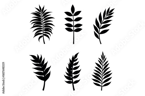 Collection of six black botanical leaf illustrations with varying shapes and arrangements on white background