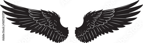vector illustration of wings