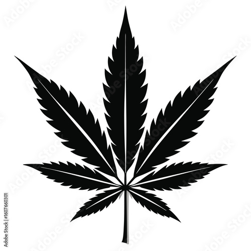 Bold Black Marijuana Leaf Illustration Depicts Cannabis Plant Isolated on White Background