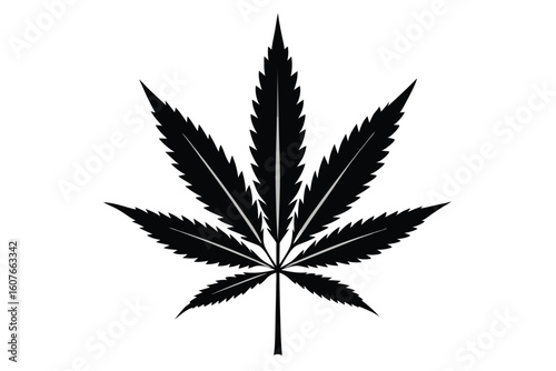 Black Silhouette of a Cannabis Leaf, Sharp Edges and Prominent Veins Visible