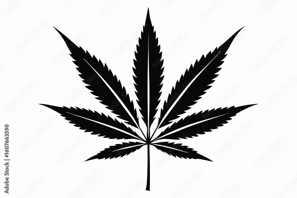 Silhouette of Single Cannabis Leaf with Pointed Lobes, Vector Botanical Art Silhouette of Single Cannabis Leaf with Pointed Lobes, Vector Botanical Art